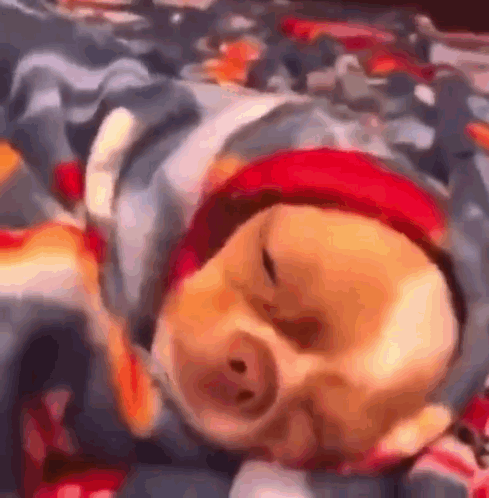 Exemple de mème de chien drôle, un chien satisfait enroulé dans une couverture bien chaude
