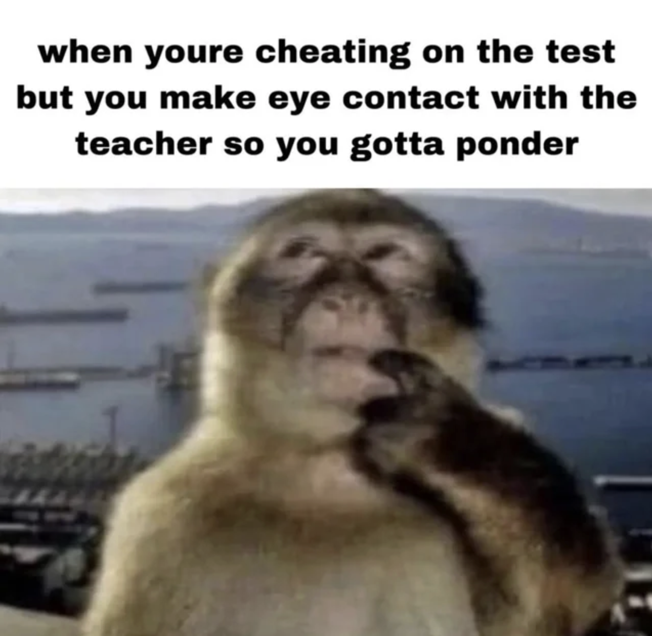 Meme do macaco pensando legendado sobre cruzar o olhar com um professor enquanto cola